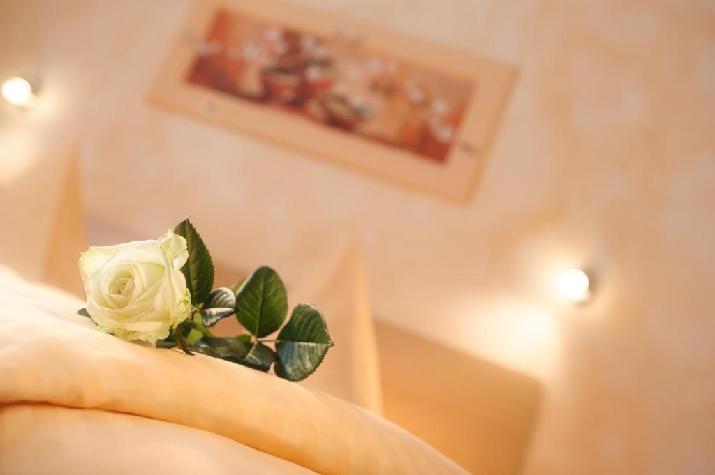 Hotel Mediterraneo Neustadt an der Weinstrasse Room photo